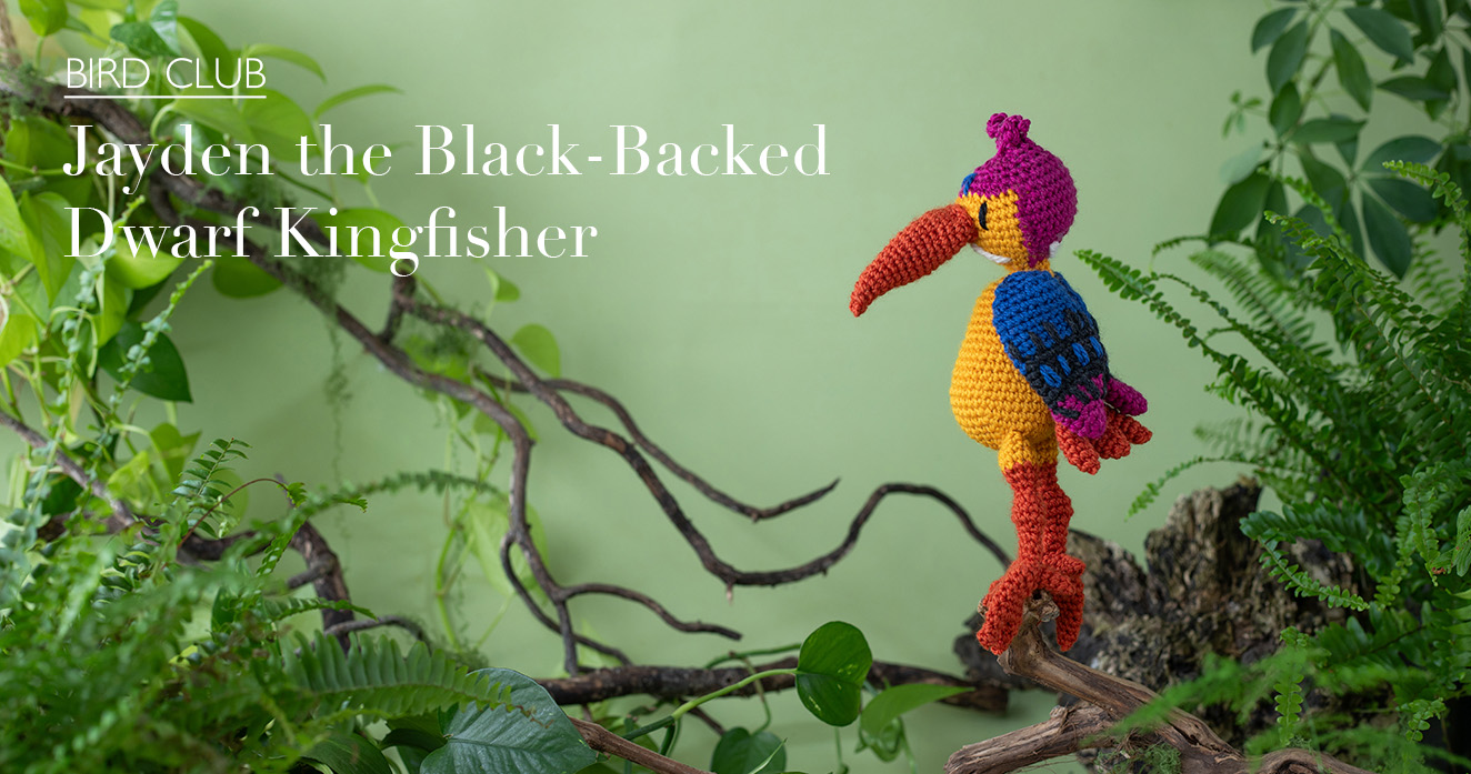SUBS bird club dwarf kingfisher subscribe toft yarn pattern gift box